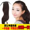 Extension cheveux - Queue de cheval - Ref 251860
