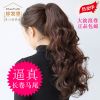 Extension cheveux - Queue de cheval - Ref 251942