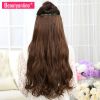 Extension cheveux - Ref 216679