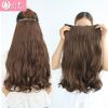 Extension cheveux - Ref 216685