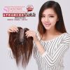 Extension cheveux - Ref 216758