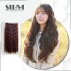 Extension cheveux - Ref 217128