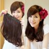 Extension cheveux - Ref 217313