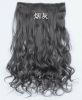 Extension cheveux - Ref 217368