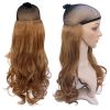 Extension cheveux - Ref 217386