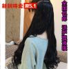 Extension cheveux - Ref 217644