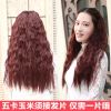 Extension cheveux - Ref 217731