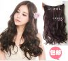Extension cheveux - Ref 217932