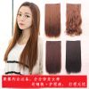 Extension cheveux - Ref 218047