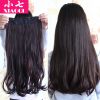Extension cheveux - Ref 218839