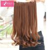 Extension cheveux - Ref 218989