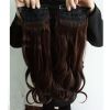 Extension cheveux - Ref 219014