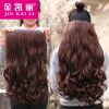 Extension cheveux - Ref 219052
