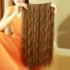 Extension cheveux - Ref 219092