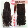 Extension cheveux - Ref 219125