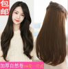 Extension cheveux - Ref 219151