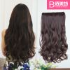 Extension cheveux - Ref 219224