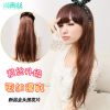 Extension cheveux - Ref 219337