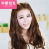 Extension cheveux - Ref 219405