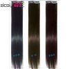 Extension cheveux - Ref 219638