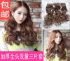 Extension cheveux - Ref 219894