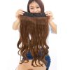 Extension cheveux - Ref 220101