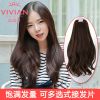 Extension cheveux - Ref 220538