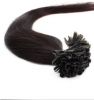 Extension cheveux - Ref 221084