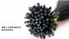 Extension cheveux - Ref 221277