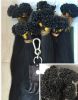 Extension cheveux - Ref 221306