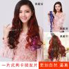 Extension cheveux - Ref 221638