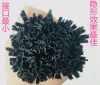 Extension cheveux - Ref 221749