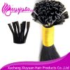 Extension cheveux - Ref 221926