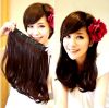 Extension cheveux - Ref 222950