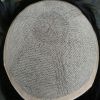 Extension cheveux - Ref 223882
