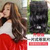 Extension cheveux - Ref 225803