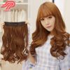 Extension cheveux - Ref 225817