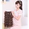 Extension cheveux - Ref 225869