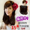 Extension cheveux - Ref 225929