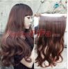 Extension cheveux - Ref 226052