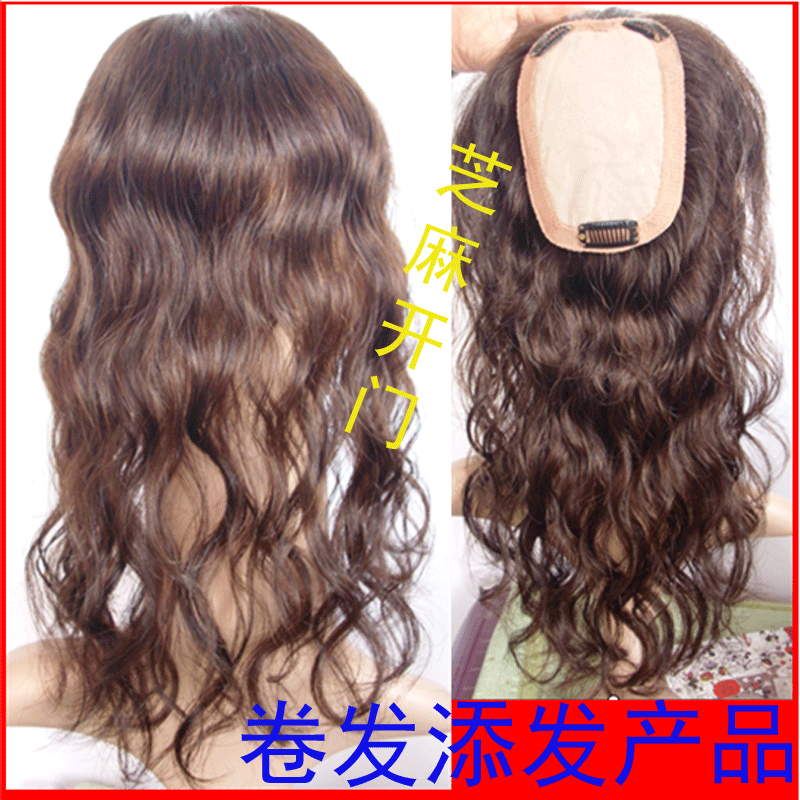 Extension mèches - Ref 217291