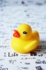 Figurine manga Petit canard jaune - Ref 2699976