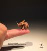 Figurine manga en PVC Triceratops - Ref 2701440