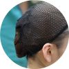 Filet à cheveux - Ref 272459