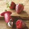 Gadget cuisine - Diviseur de fruits Ref 3405566