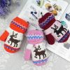 Gants pour enfants en cachemire - Ref 2146152