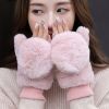 Gants pour femme en Poil de lapin - Ref 3156789
