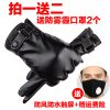 Gants pour homme - Ref 2781207