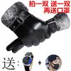 Gants pour homme - Ref 2781216
