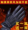 Gants pour homme - Ref 2781239